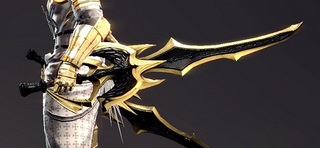 ナイトホークデュアルスピア.jpg
